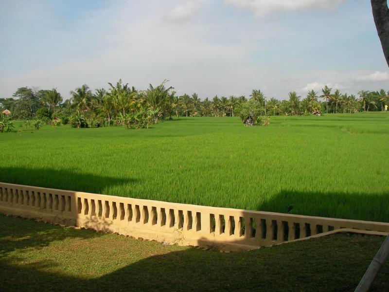 Green Field Hotel And Bungalow Ubud  Exterior photo