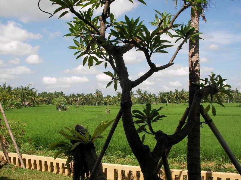 Green Field Hotel And Bungalow Ubud  Exterior photo
